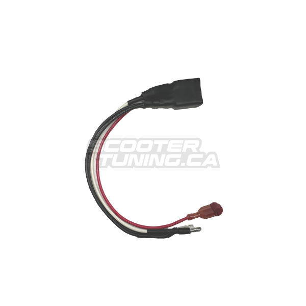 Product image (54874683e7cfe14958e60a65ebe144ab)