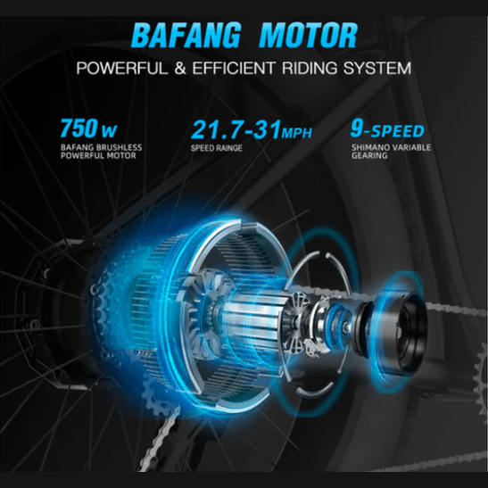 Product image (d8183f0ba64c312e4c222ad80f2acb3c)