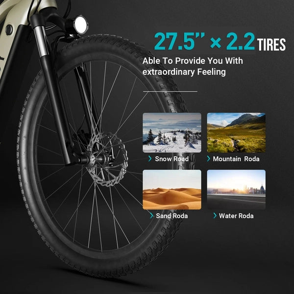 Product image (db375a758e152d41f8db89a435925c4a)